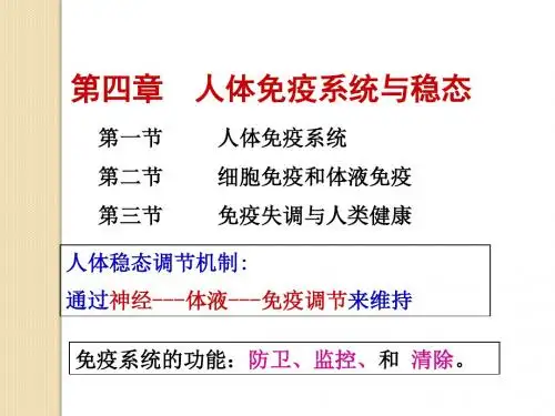 医学课件生物：1.4《人体免疫系统与稳态》课件(中图版必修3)