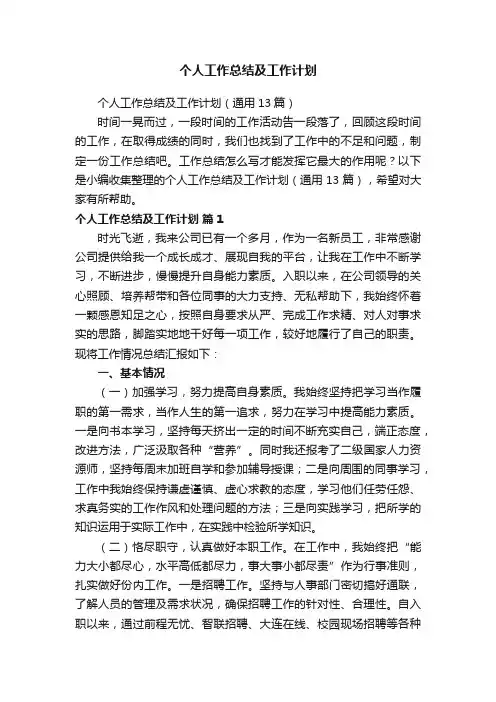 个人工作总结及工作计划