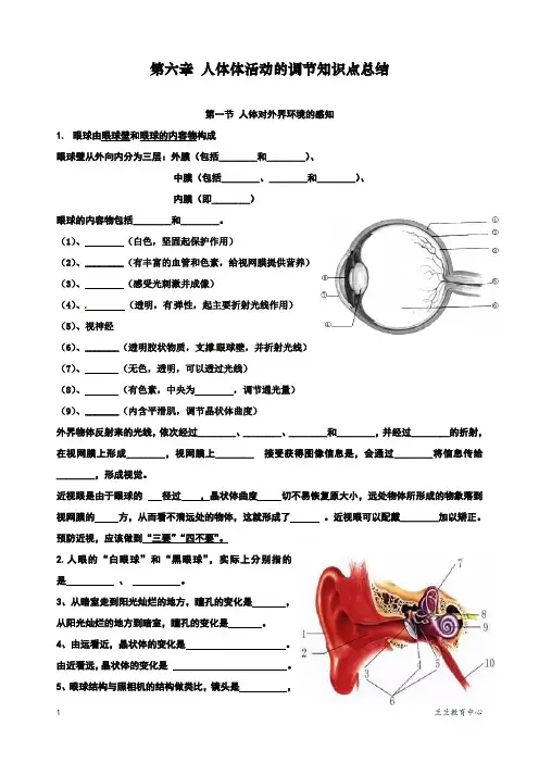 最新人教部编版初一七年级生物下册第四单元第六章《人体生命活动的调节》知识点总结