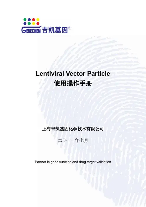 慢病毒使用手册