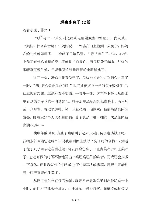 观察小兔子12篇
