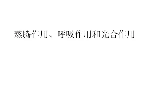 绿色植物的三大生理作用PPT课件1
