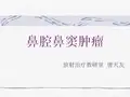 鼻腔鼻窦肿瘤课件