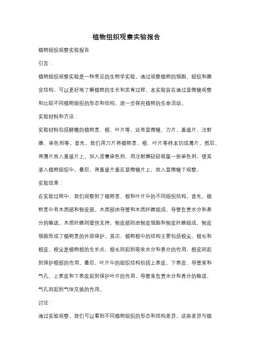 植物组织观察实验报告