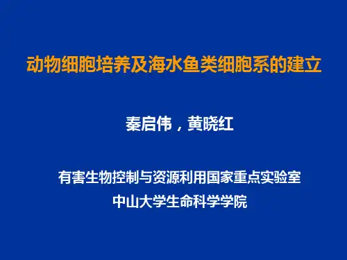 动物细胞培养及海水鱼类细胞系的建立-080125(1)