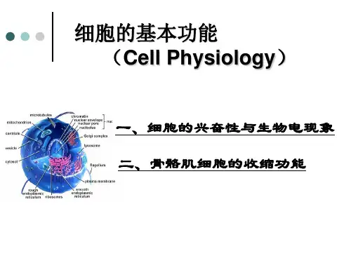 兽医生理学课件-细胞的基本功能【cell physiology】