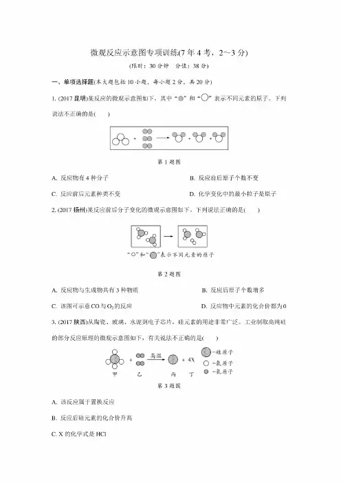 2019中考微观反应示意图专项训练（精练版）