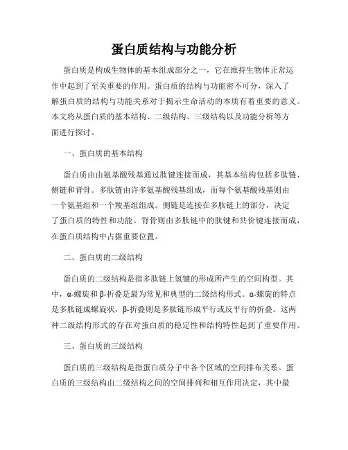 蛋白质结构与功能分析