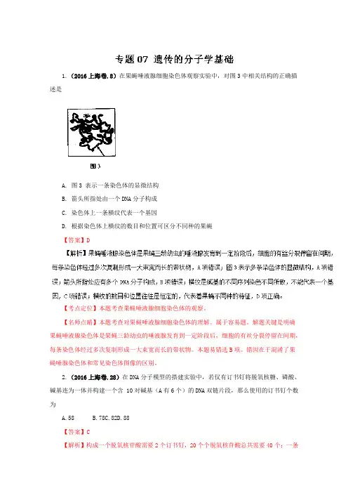 2016年高考生物真题分类汇编——专题07 遗传的分子学基础 Word版含解析