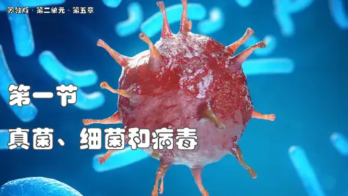 2.5.1 真菌、细菌和病毒 课件(共29张PPT) (2024年)生物苏教版七年级上册