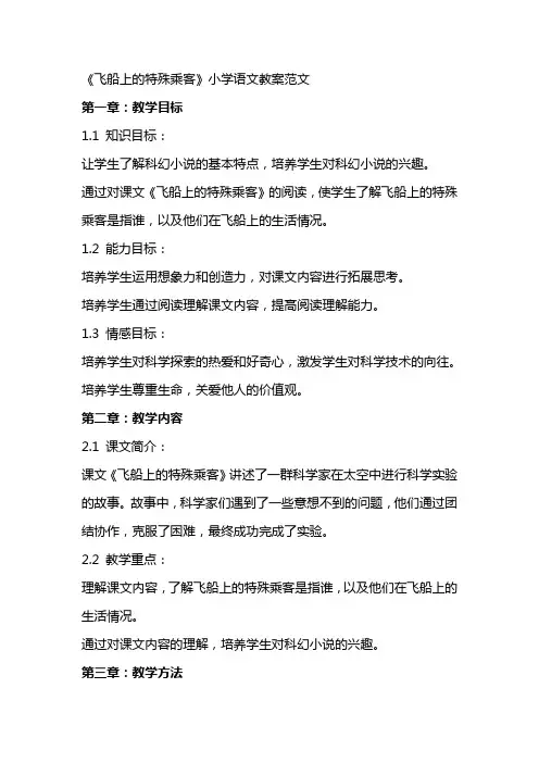 《飞船上的特殊乘客》小学语文教案范文
