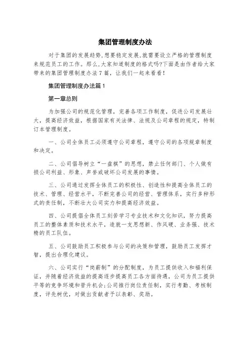 集团管理制度办法