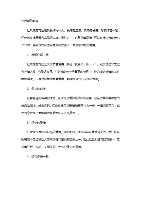 关于红玫瑰的花语