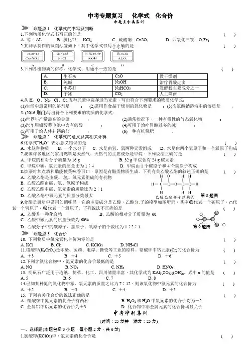中考化学专题复习  化学式 化合价