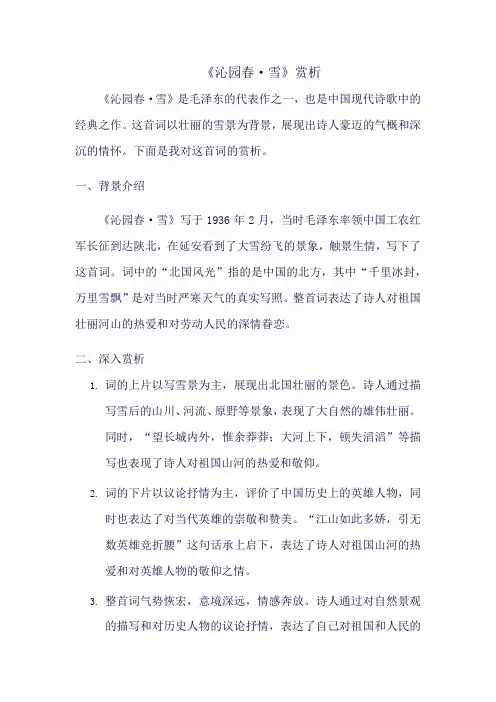 《沁园春雪》赏析