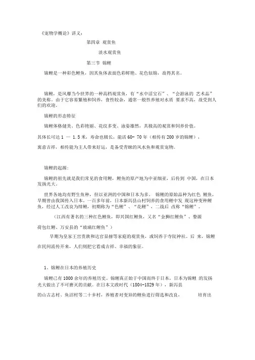 基础锦鲤知识