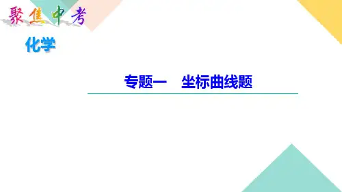 中考化学专题一 坐标曲线题