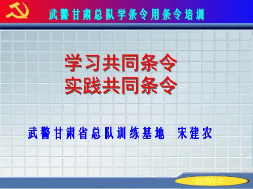 学习共同条令实践共同条令修改终稿