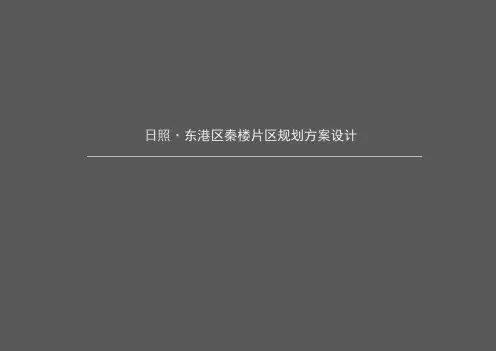 日照东港区秦楼片区规划方案设计