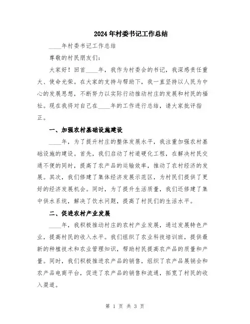 2024年村委书记工作总结