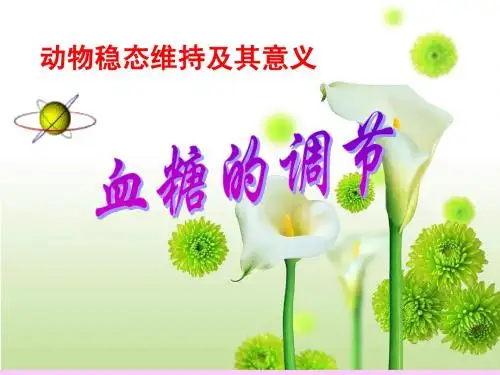 第二节血糖调节(中图版)