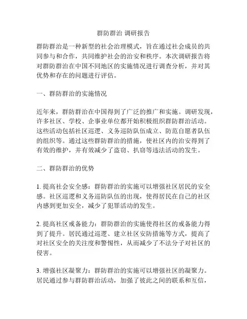 群防群治 调研报告
