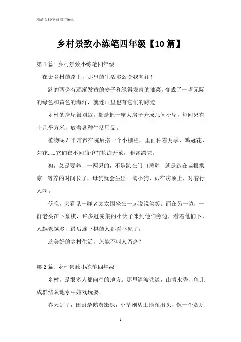 乡村景致小练笔四年级【10篇】