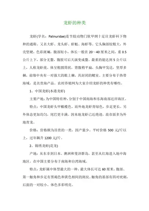 龙虾的种类