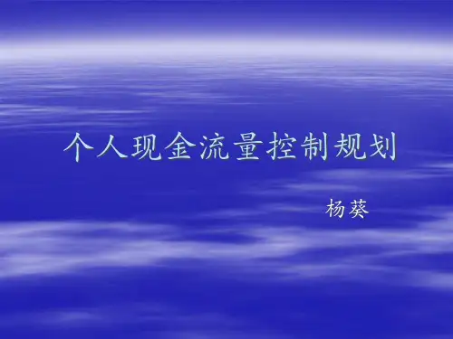 个人现金流量控制规划(ppt 240)