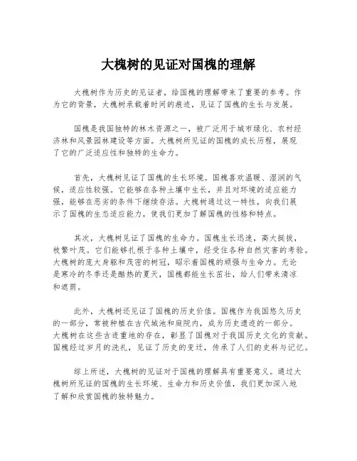 大槐树的见证对国槐的理解