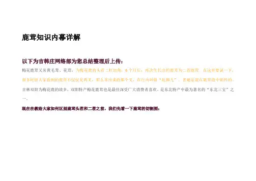 鹿茸知识内幕详解