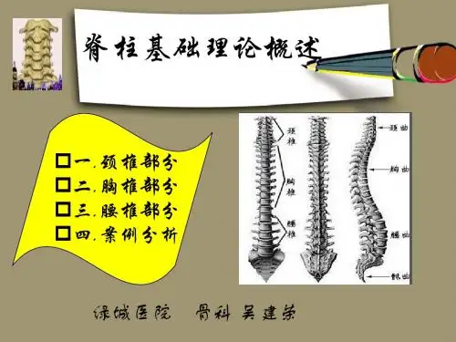 脊柱基础知识完成稿