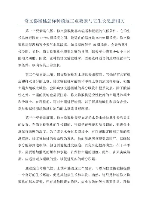 修文猕猴桃怎样种植这三点要素与它生长息息相关