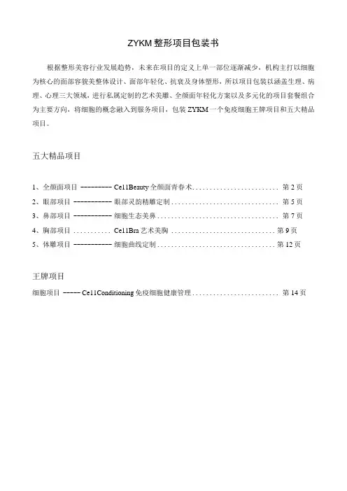 医美整形项目品牌营销包装规划