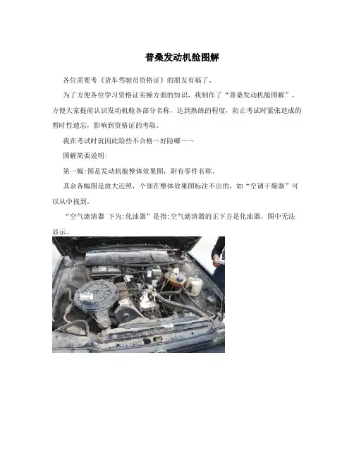 普桑发动机舱图解