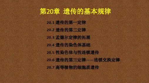 2020年生物竞赛辅导 第20章  遗传的基本规律