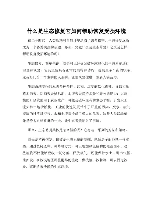 什么是生态修复它如何帮助恢复受损环境
