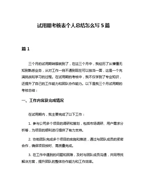 试用期考核表个人总结怎么写5篇
