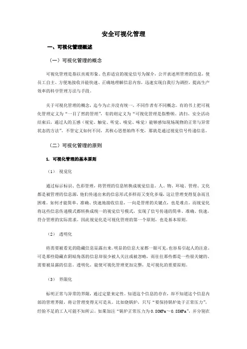 安全可视化管理