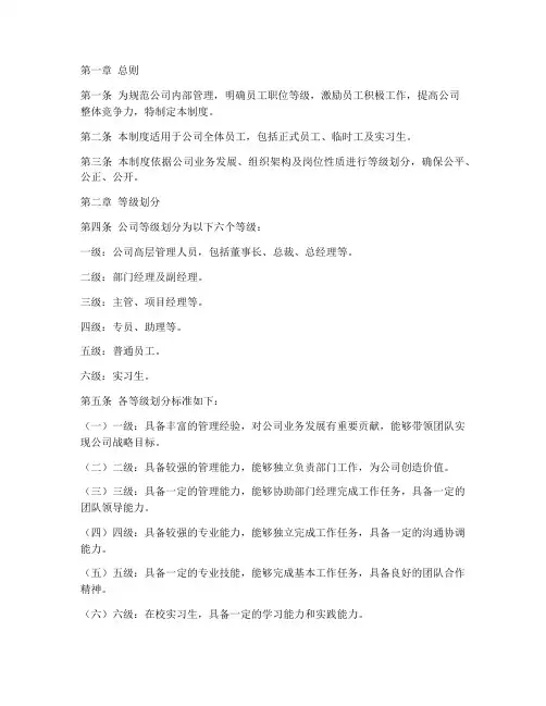 公司等级划分管理制度