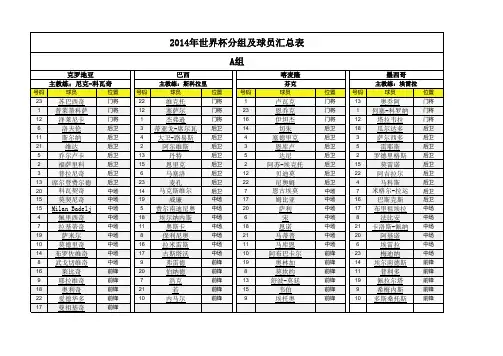 2014年巴西世界杯球员名单(带球衣号)