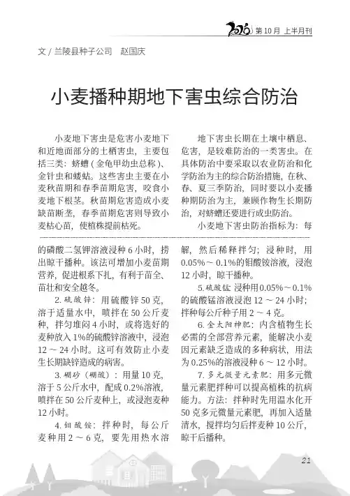 小麦播种期地下害虫综合防治