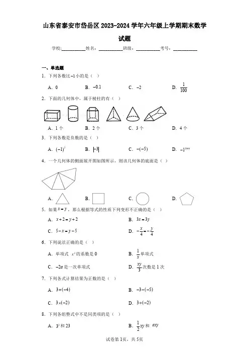 山东省泰安市岱岳区2023-2024学年六年级上学期期末数学试题