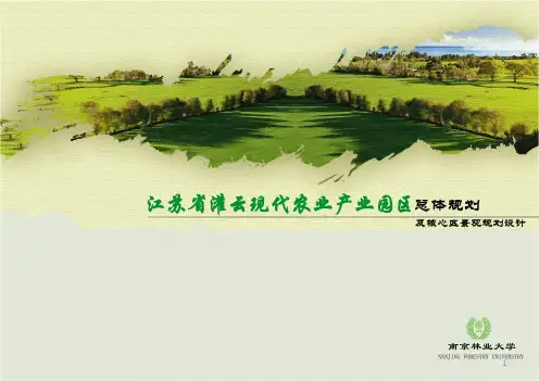 完整版灌云现代农业产业园规划设计
