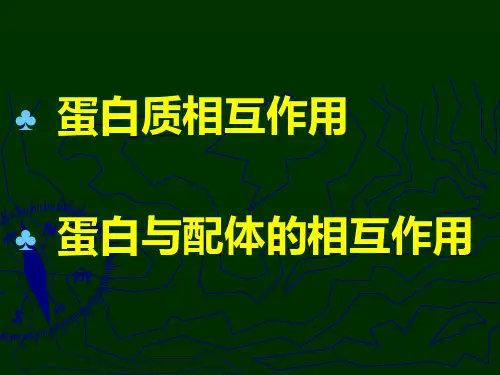 蛋白质互作