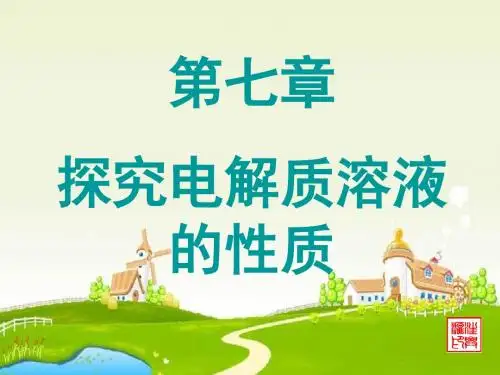 沪科版化学高一下《探究电解质溶液的性质》