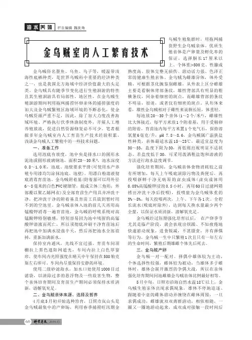金乌贼室内人工繁育技术