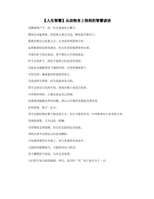 【人生智慧】从动物身上悟到的智慧谚语