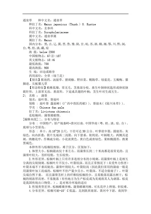 通泉草种中文名