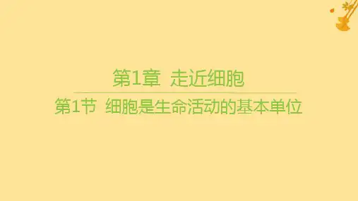 新教材高中生物第1章走近细胞第1节细胞是生命活动的基本单位课件新人教版必修1